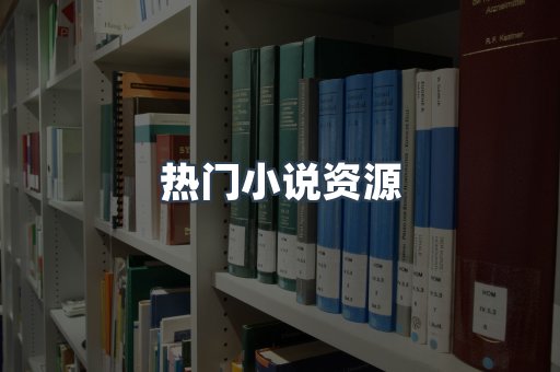 热门小说资源